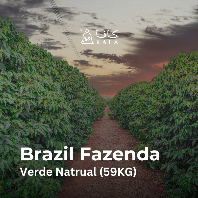 Brazil Fazenda Verde Natrual (59KG) - E2400161