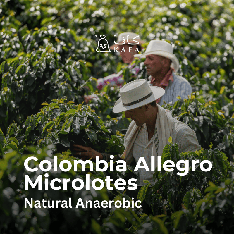 Colombia - Allegro Microlotes Natural Anaerobic (70KG) - E240202