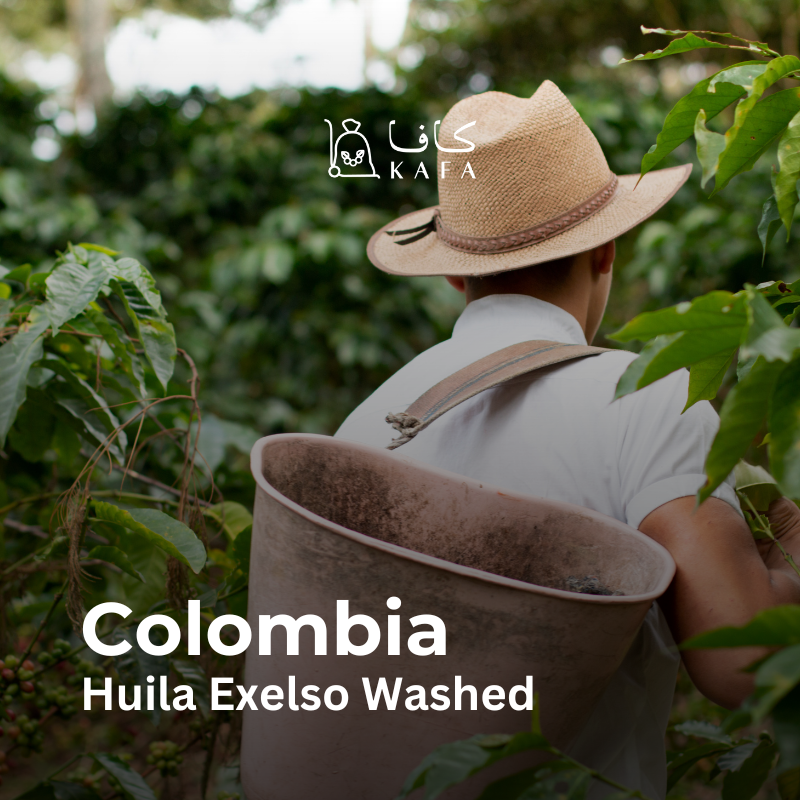 Colombia Excelso Huila EP (70KG) - E240254/1