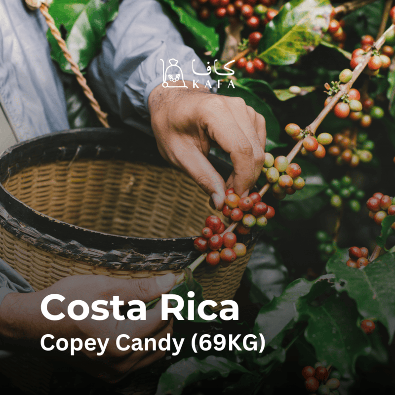 Costa Rica - Copey Candy (69KG) - E240223