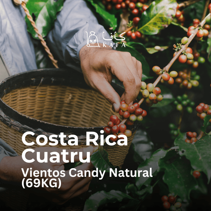 Costa Rica - Cuatru Vientos Candy Natural (69KG) - E240224