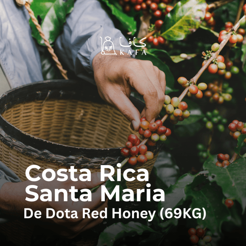 Costa Rica - Santa Maria de Dota Red Honey (69KG) - E240227