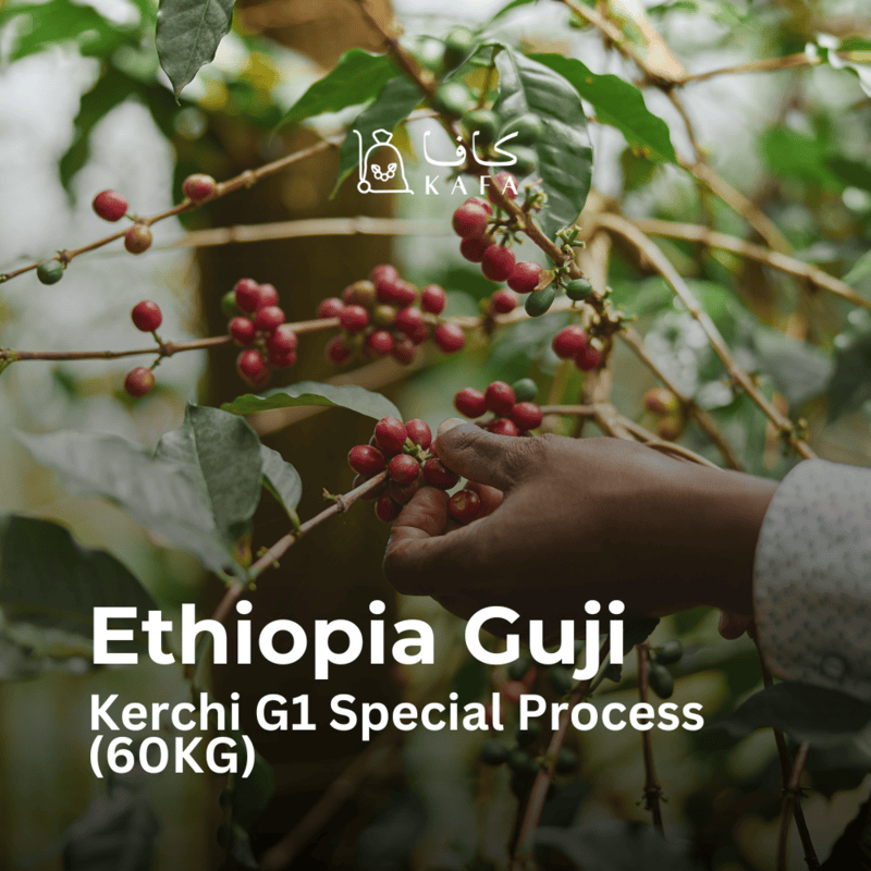 Ethiopia - Guji Kerchi G1 Special Process (60KG) - E240185