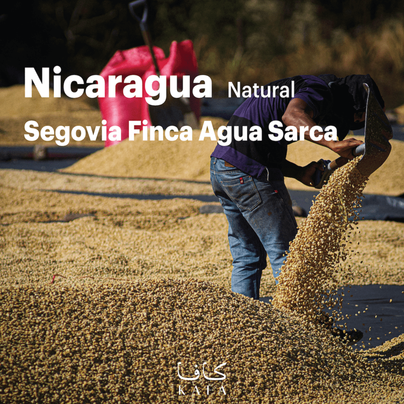 Nicaragua Segovia Finca Los Volcancitos Natural (69 Kg) - P19529