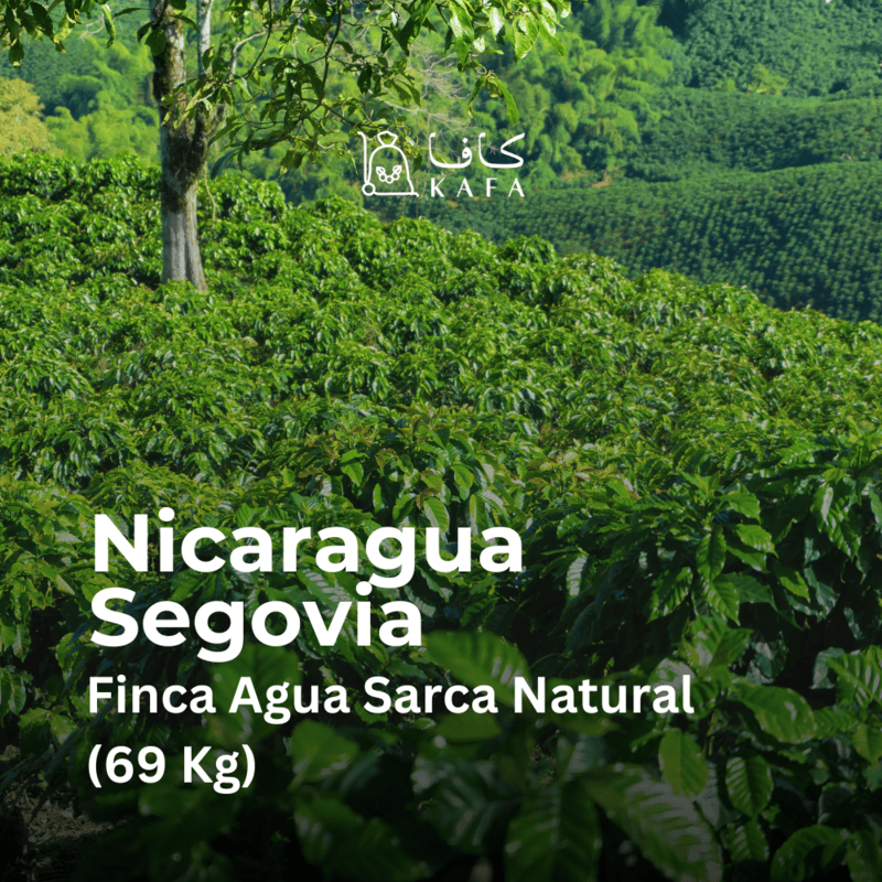 Nicaragua Segovia Finca Agua Sarca Natural (69 Kg) - P18800